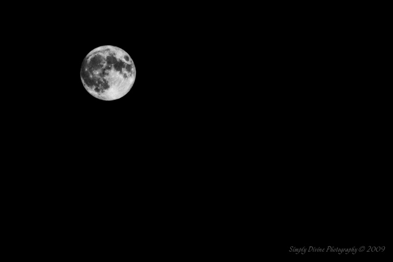 Full Moon  - ID: 9239543 © Susan M. Reynolds