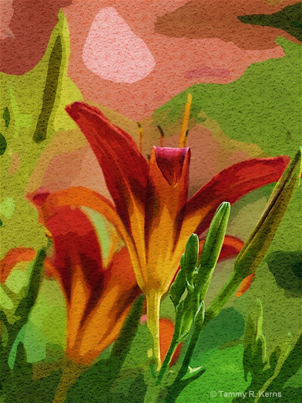 Day Lily