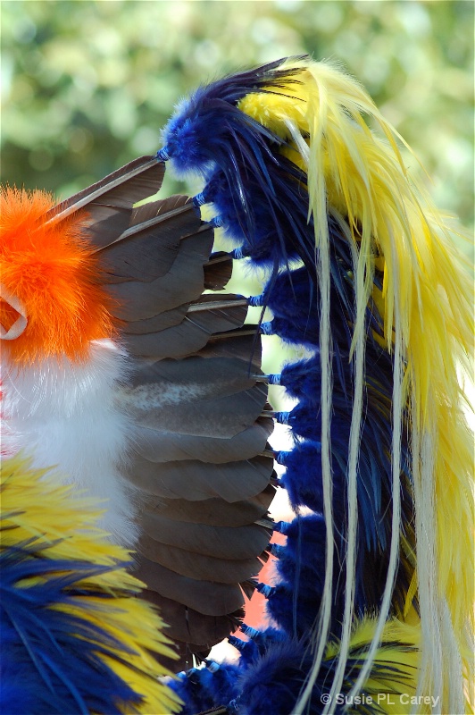 Native American Detail - ID: 9248010 © Susie P. Carey