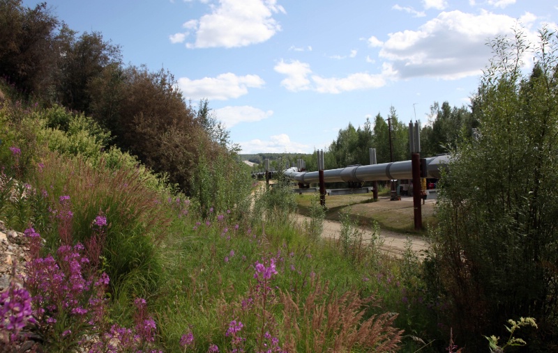 Alaska Pipeline Revealed - ID: 9250888 © Kenneth J. Creary