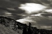Yellowstone