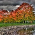 © Elliot Barnathan PhotoID# 9255016: Raritan 1