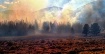 smokey fog