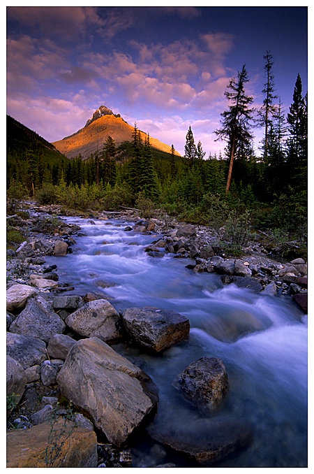 Roadside Creek, Banff NP - ID: 9264390 © Jim D. Knelson