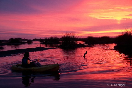 Kayaking in mantagua wetlands