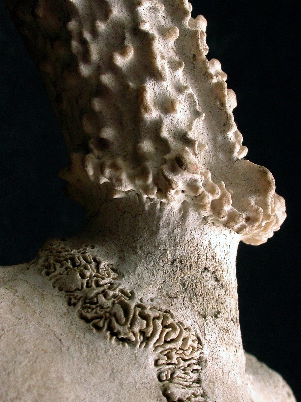 Elk Antler Macro - ID: 9269997 © Mary-Ella Bowles