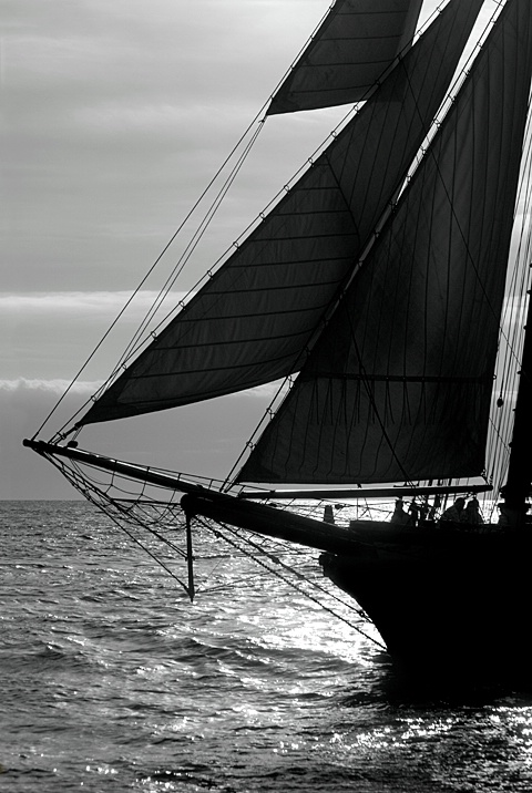 Sailling Silhouette - ID: 9273651 © Mary-Ella Bowles