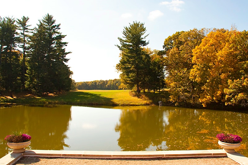 Pond in Fall 
