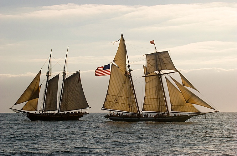 Two Ships, Passing - ID: 9273847 © Mary-Ella Bowles
