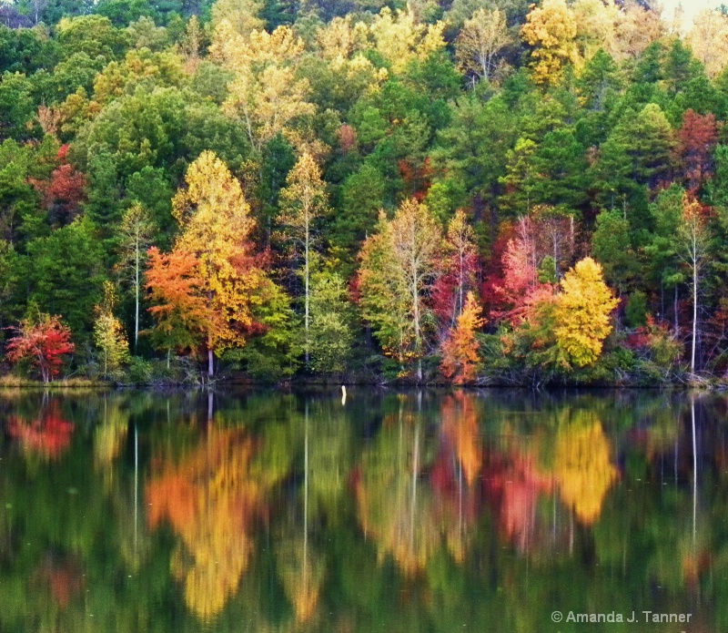 A Burst of Autum