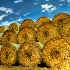 2Hay Bales - ID: 9280083 © Sherry Karr Adkins