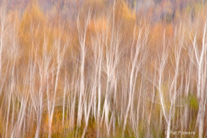 Fall in Canada - ID: 9282864 © Pat Powers