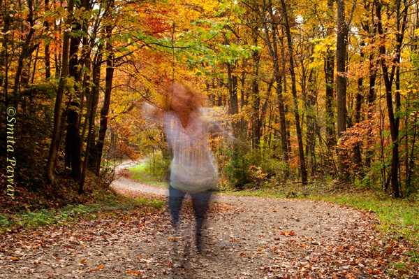 Ghost in the woods