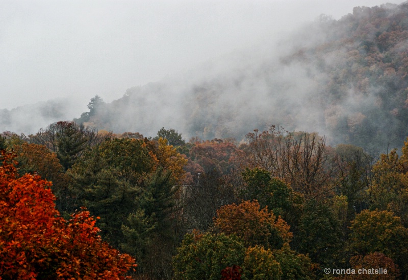 Autumn Mist