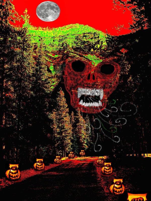 img8