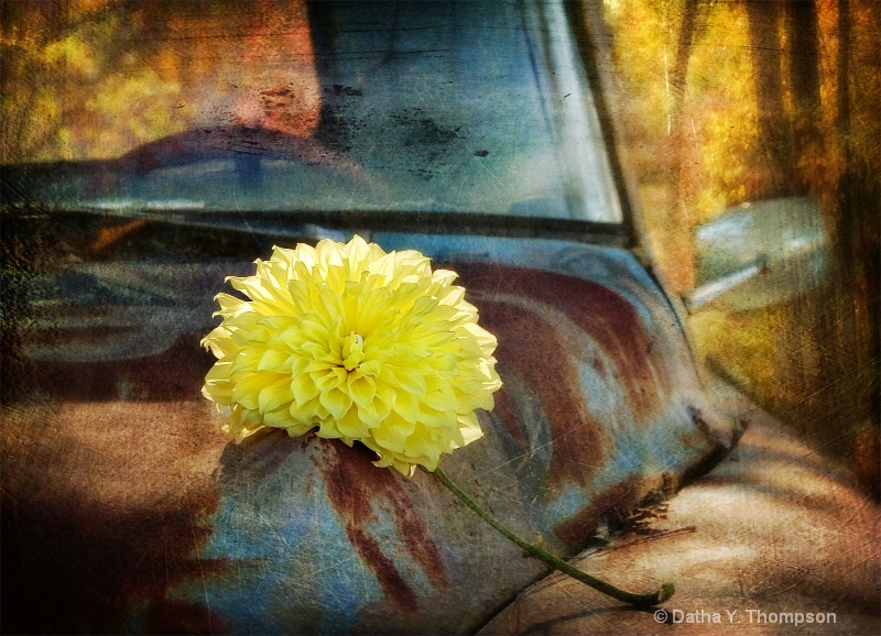 ~ Yellow and Rust ~