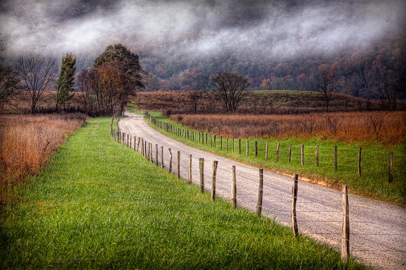 Fog In The Cove