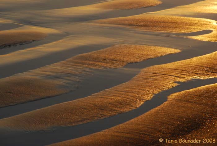 Sand Reflections