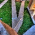 © Elliot Barnathan PhotoID# 9300929: Washington University 7