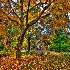 © Elliot Barnathan PhotoID# 9301004: Northwestern University 3