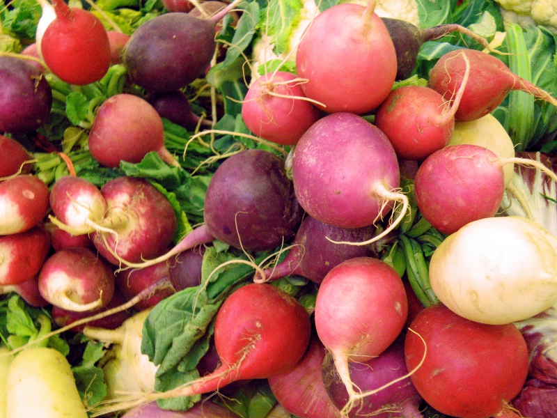 Ravishing Radishes