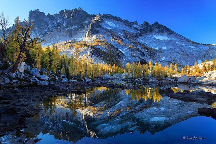 Leprechaun Larches #2 (Enchantment Lakes)