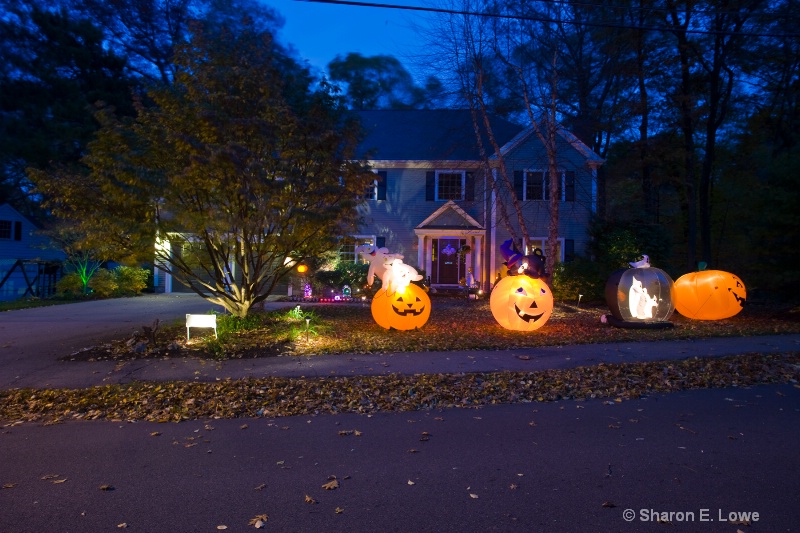 Lost of Halloween decorations - ID: 9310784 © Sharon E. Lowe