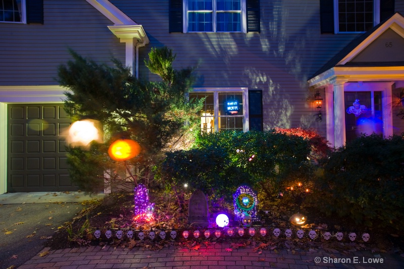 Close-up of Halloween Decorations