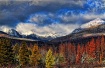 rockies