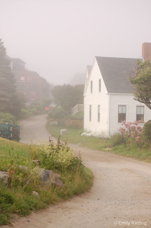 A foggy day in Maine