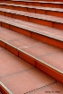 Step  Lively-the ...
