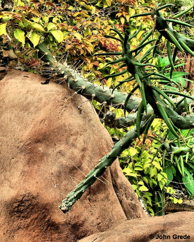 desert 1 - ID: 9345957 © John R. Grede