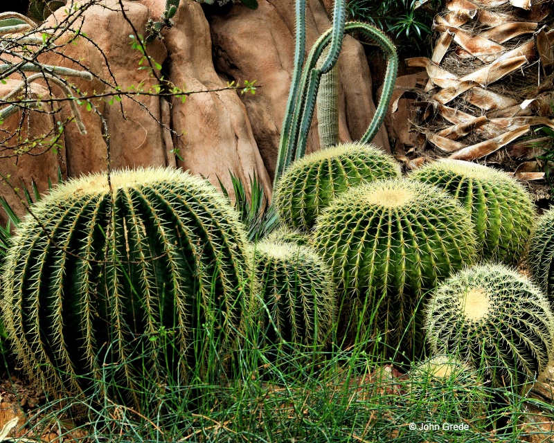 desert 3 - ID: 9345964 © John R. Grede