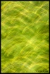 Natural Stokes