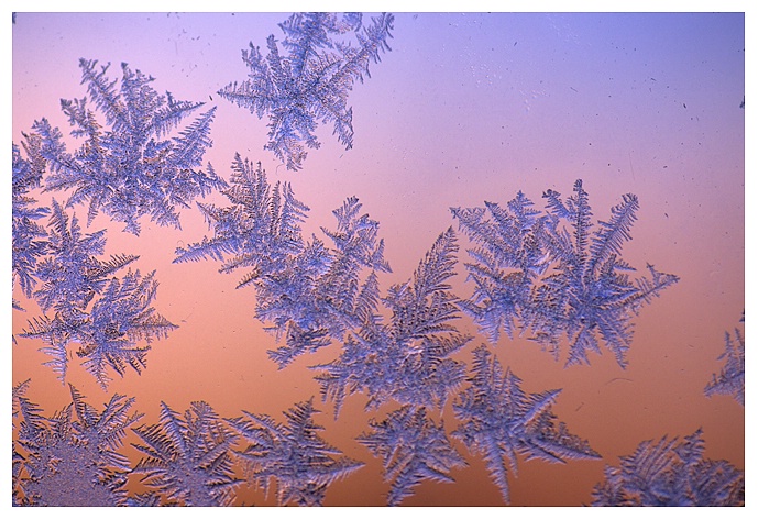 Window Frost - ID: 9350383 © Jim D. Knelson
