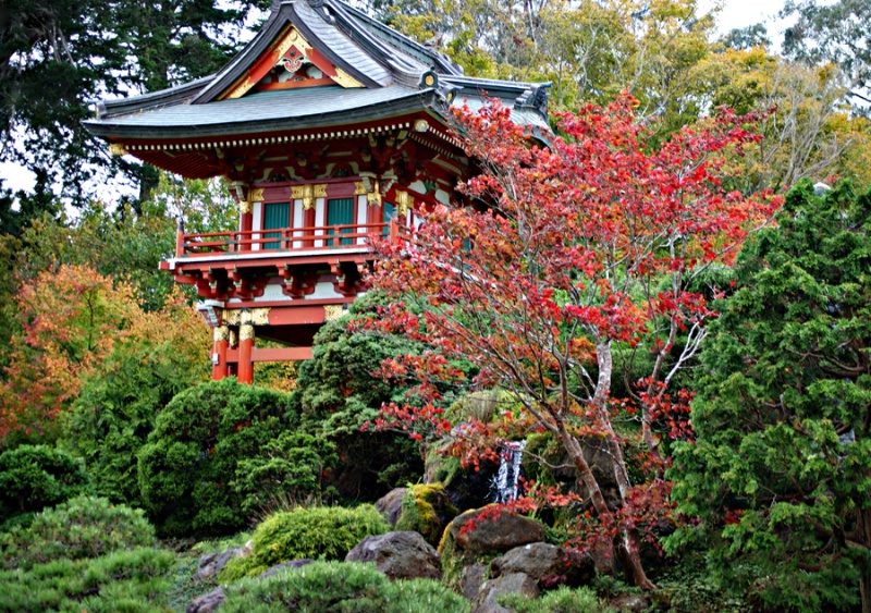 Japanese Tea Garden