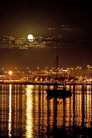 Moonlight in the Bay