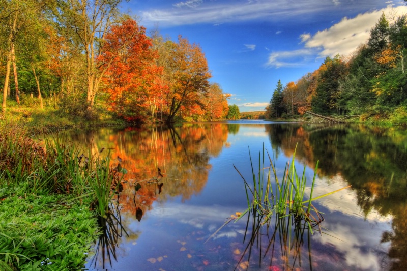 Hust Pond Reflections