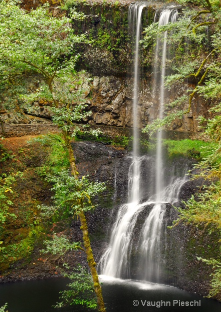 Silver Falls 4