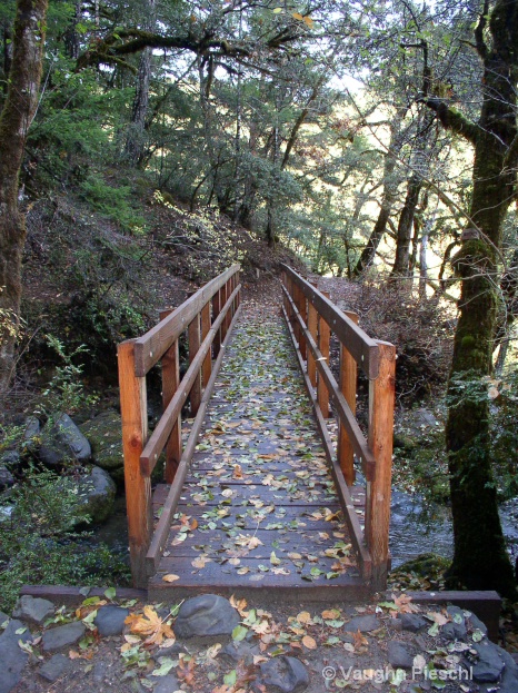 Tate Creek Bridge