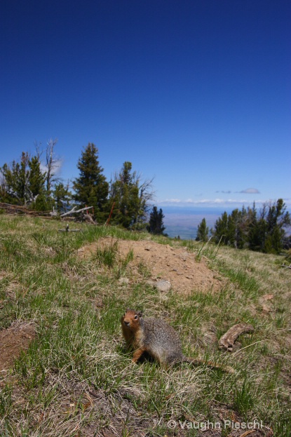 Wallowa Mountians 2