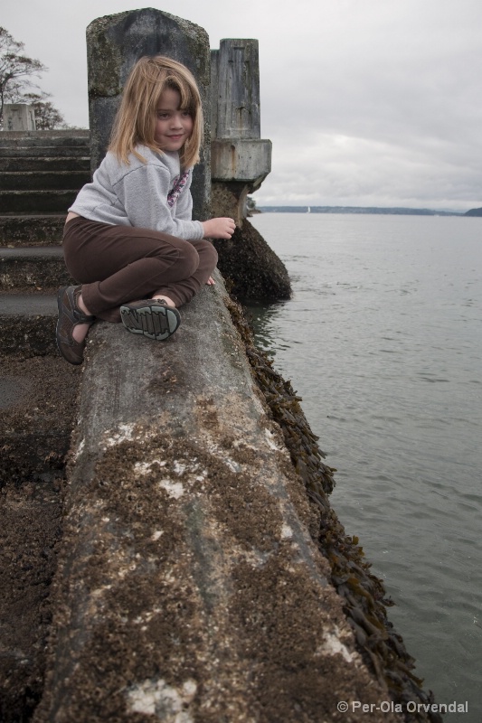 Overcast seawall