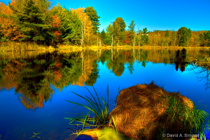 Looking Across The Pond