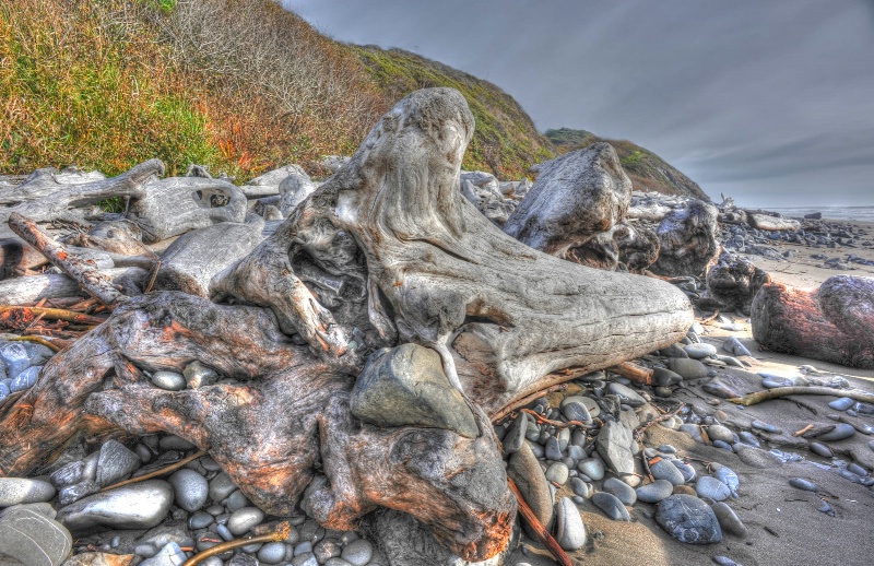 Driftwood and Stone