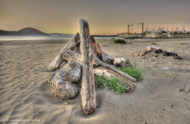 Driftwood by the Dry Dock