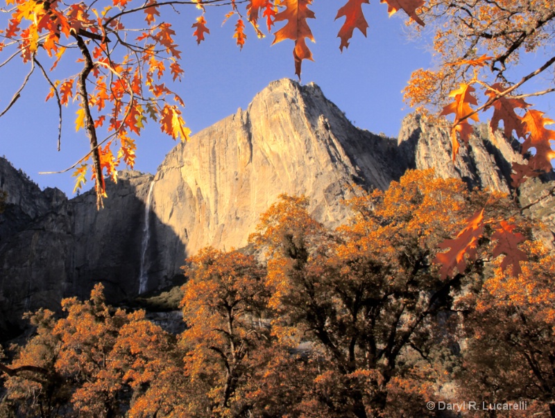 4331  Yosemite Valley  - ID: 9361813 © Daryl R. Lucarelli