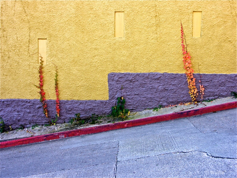 img10