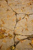NYC Sidewalk II
