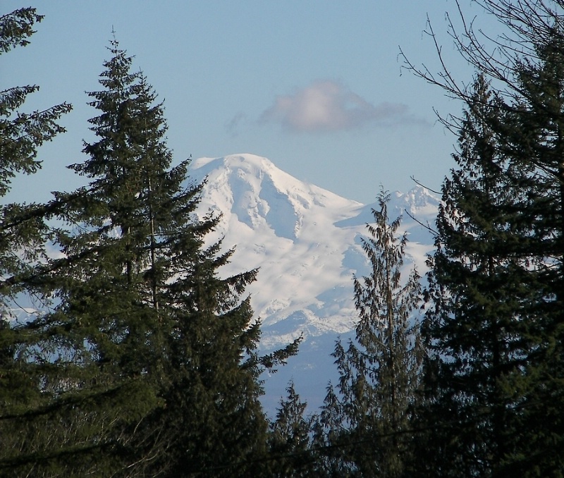 Our view ~ Mount Baker
