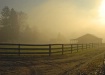 Misty Morning